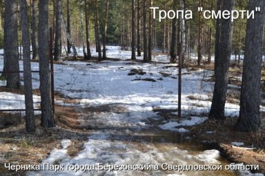 Березовский: неравная борьба жителей с наркоторговлей и ее смертельными последствиями
