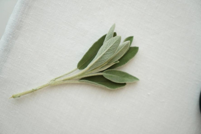 Ресторан Sage на Тверской-Ямской предлагает гостям авторскую кухню и пространство в стиле скандинавского минимализма